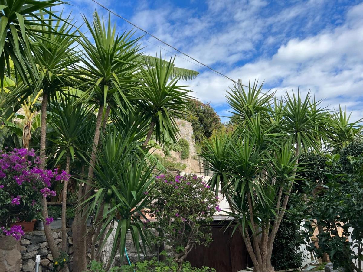 Willa Blue Dream - Amalfi Coast Conca dei Marini Zewnętrze zdjęcie