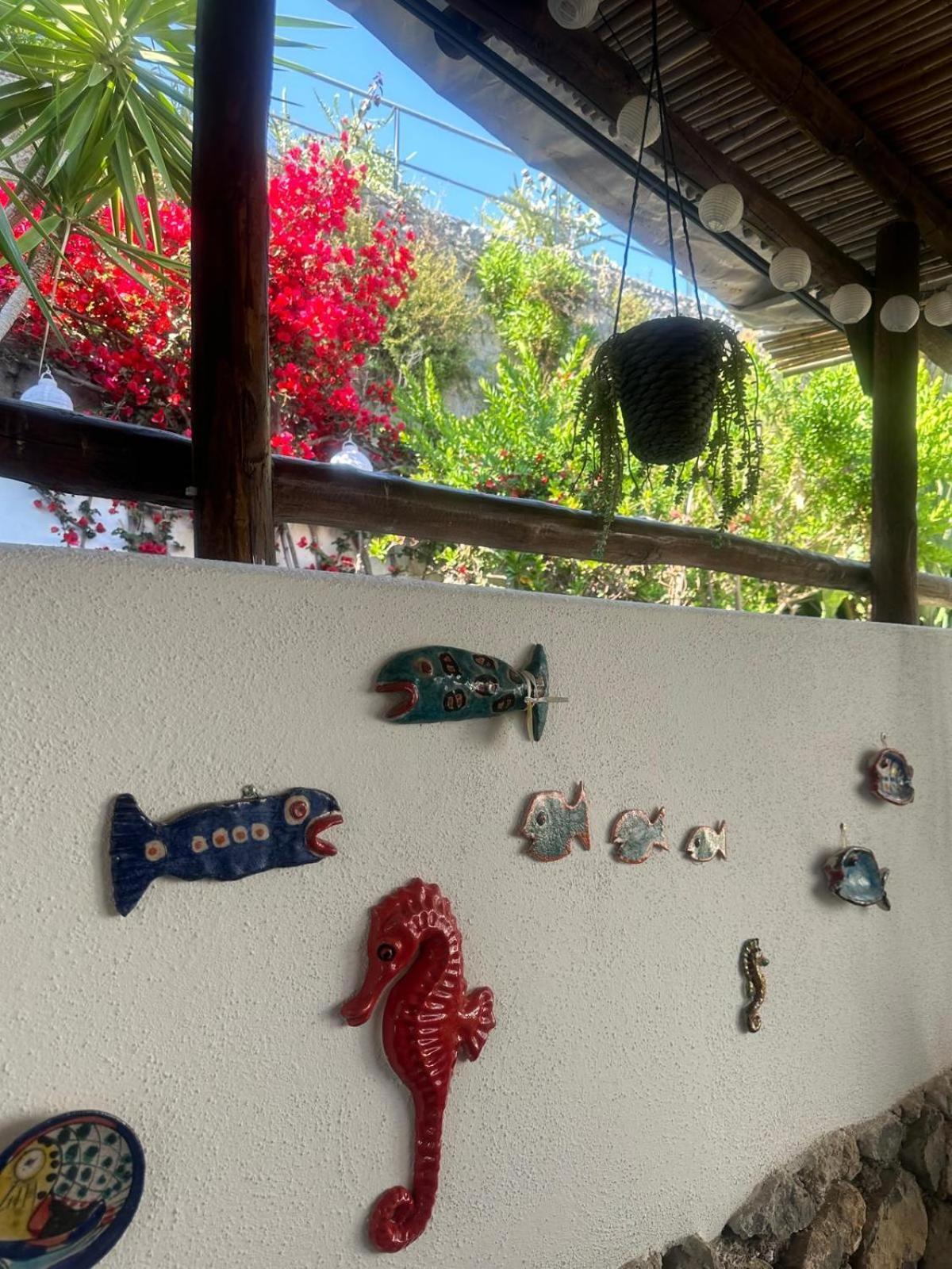 Willa Blue Dream - Amalfi Coast Conca dei Marini Zewnętrze zdjęcie